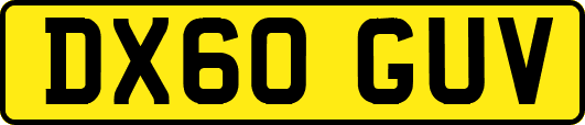 DX60GUV