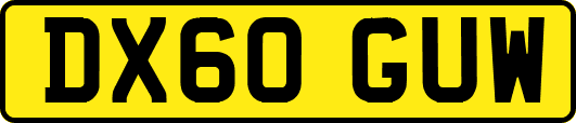 DX60GUW