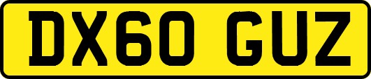 DX60GUZ