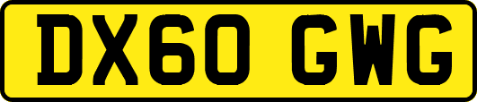 DX60GWG
