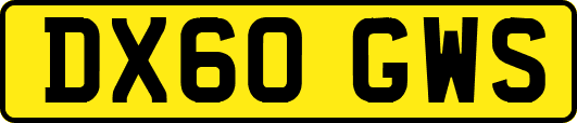 DX60GWS