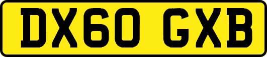 DX60GXB