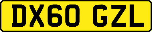 DX60GZL