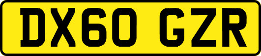 DX60GZR