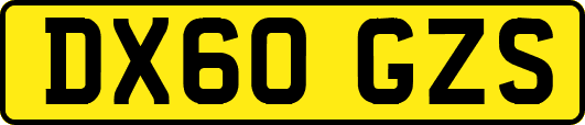 DX60GZS
