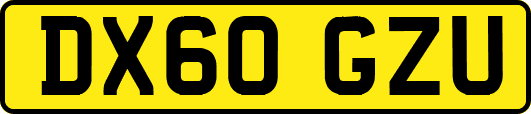 DX60GZU