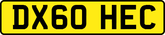 DX60HEC