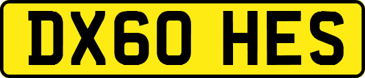 DX60HES
