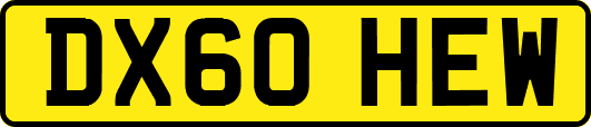 DX60HEW