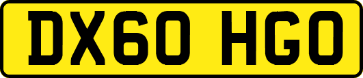 DX60HGO