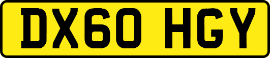 DX60HGY