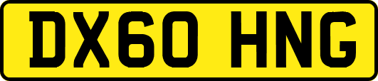DX60HNG