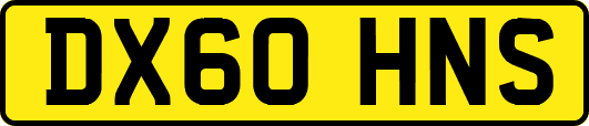 DX60HNS