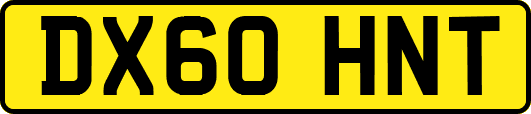 DX60HNT