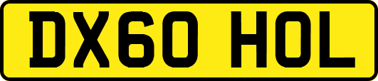 DX60HOL