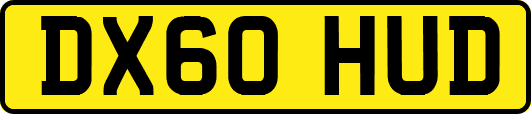 DX60HUD