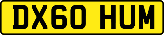 DX60HUM