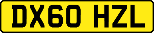 DX60HZL