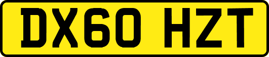 DX60HZT