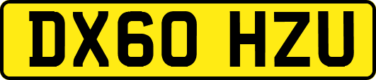 DX60HZU
