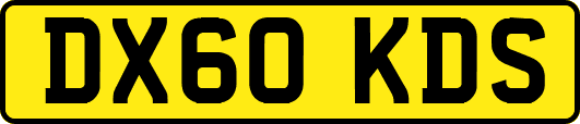 DX60KDS