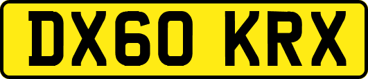 DX60KRX