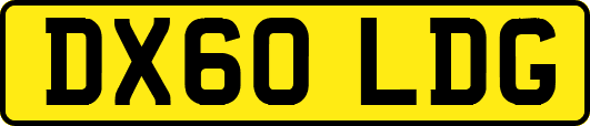 DX60LDG