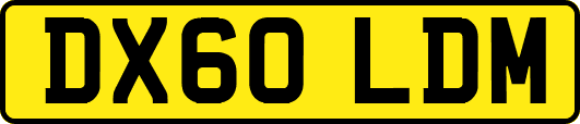 DX60LDM
