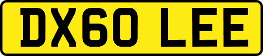 DX60LEE