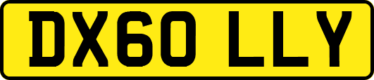 DX60LLY