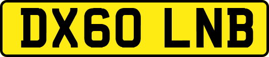 DX60LNB