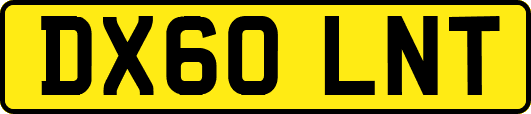 DX60LNT