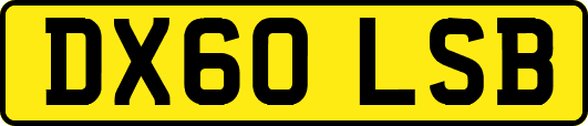 DX60LSB
