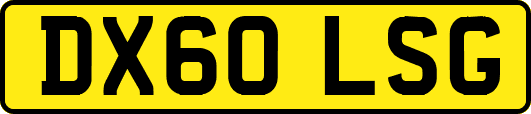 DX60LSG