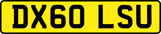DX60LSU
