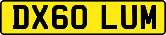 DX60LUM