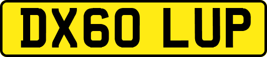 DX60LUP