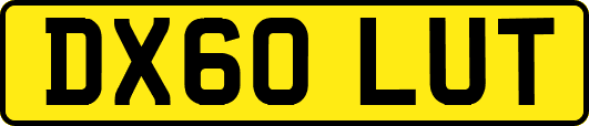 DX60LUT