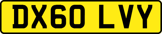 DX60LVY
