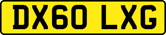 DX60LXG