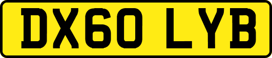 DX60LYB