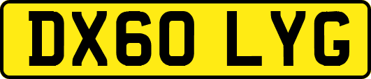 DX60LYG