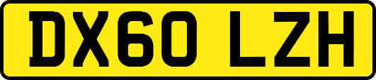 DX60LZH