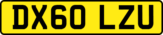 DX60LZU