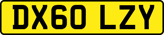 DX60LZY