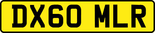 DX60MLR