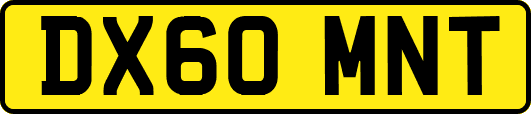 DX60MNT