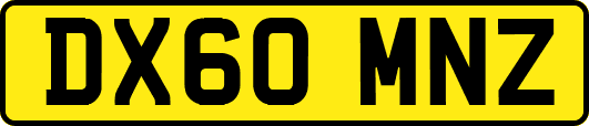 DX60MNZ
