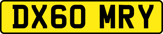 DX60MRY