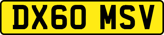 DX60MSV